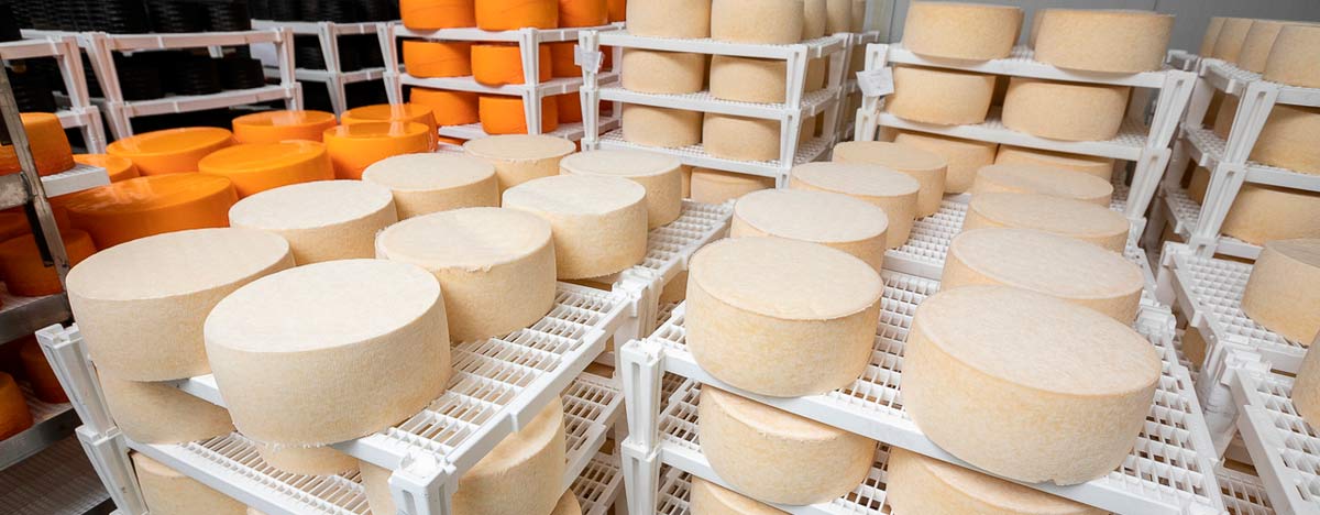 production de fromage au Canada